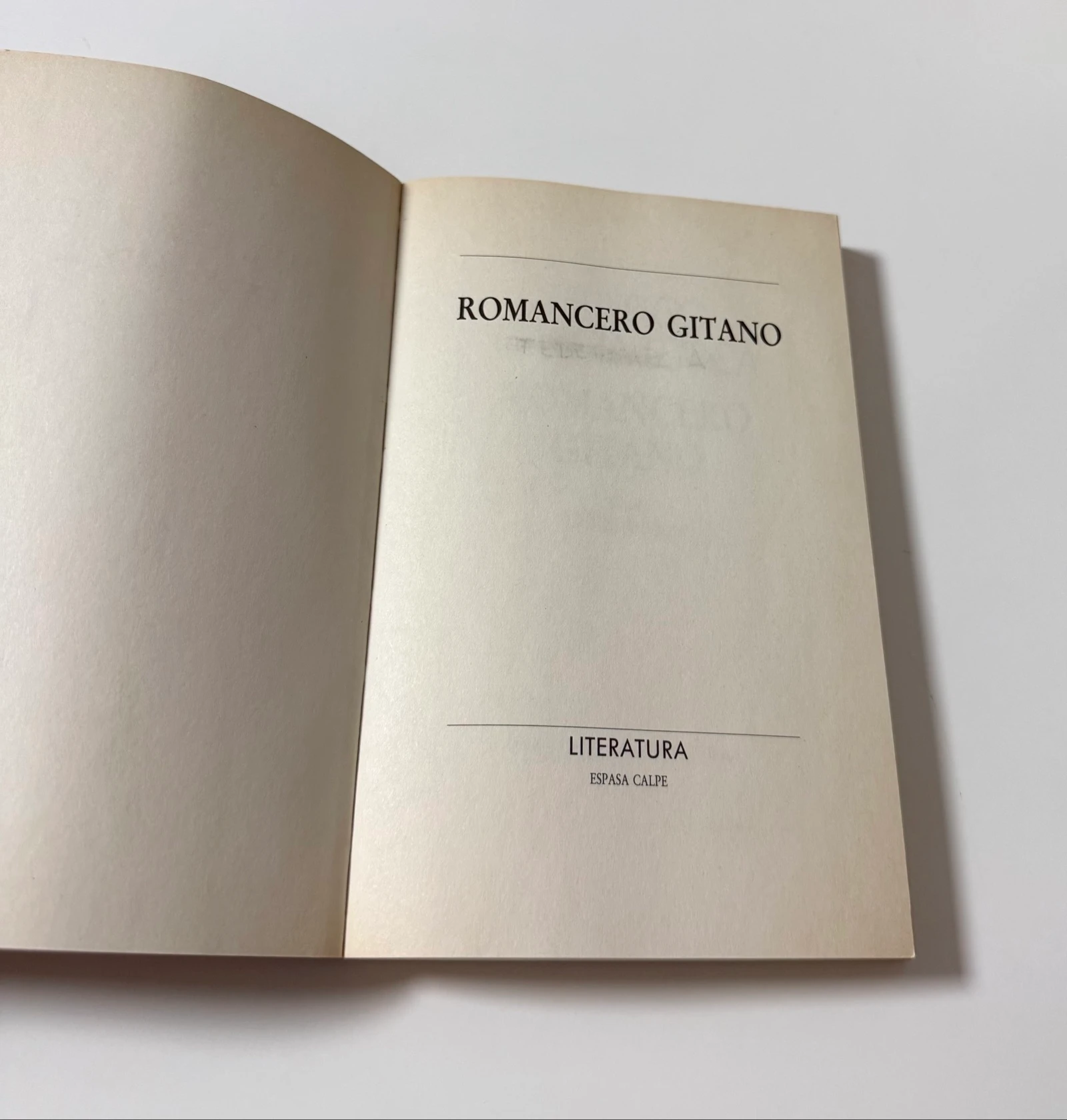 Gypsy Romance Book – photo 5